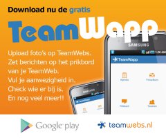 Teamwebs_336x280_nieuw.jpg