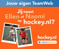 hockeytwlargerectangle.gif