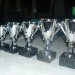 Je eigen sportteam teamfoto's gratis online op je TeamWebs teamsite