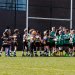 Je eigen sportteam teamfoto's gratis online op je TeamWebs teamsite