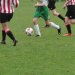 Je eigen sportteam teamfoto's gratis online op je TeamWebs teamsite