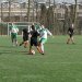 Je eigen sportteam teamfoto's gratis online op je TeamWebs teamsite