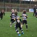 Je eigen sportteam teamfoto's gratis online op je TeamWebs teamsite