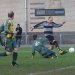 Je eigen sportteam teamfoto's gratis online op je TeamWebs teamsite